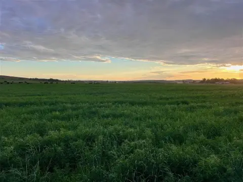 Irrigated Farmland Tract for Building