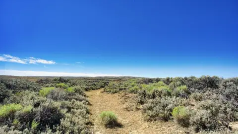 Wyoming Agricultural Land Near BLM