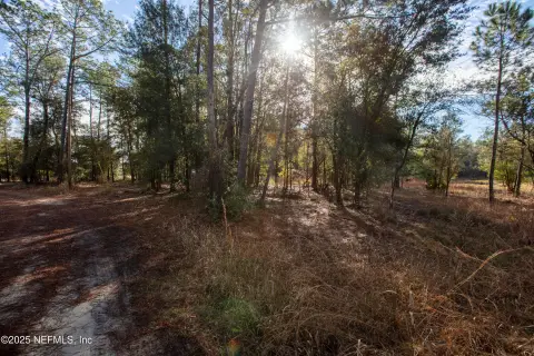 Unimproved Land in Melrose, Florida