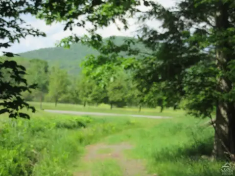 29.58 Acres in Lexington, NY