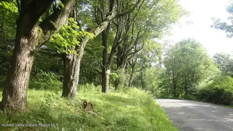 Land in Historic Cragsmoor Hamlet