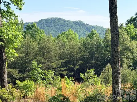 Land with Mountain Views