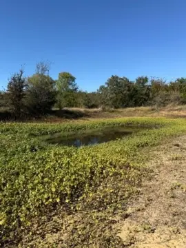 Secluded Acreage Near Highway 281