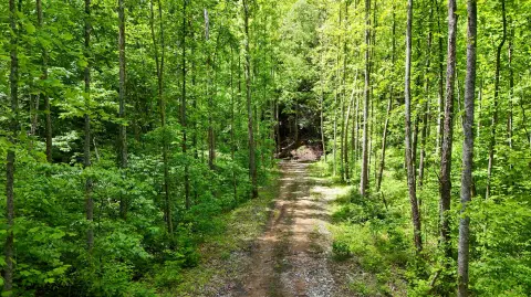 Roark, KY Recreational Land