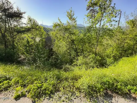 Gatlinburg Land with Mountain View