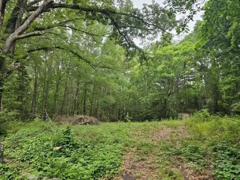 Residential Land in Henderson, TX