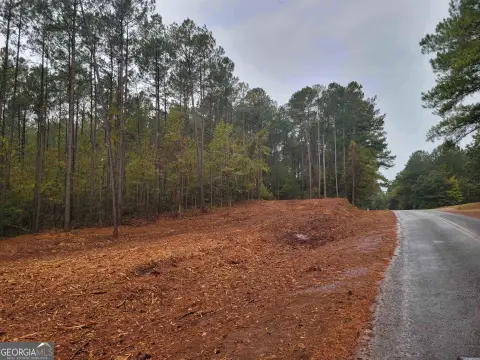 Flovilla, GA 14-Acre Retreat