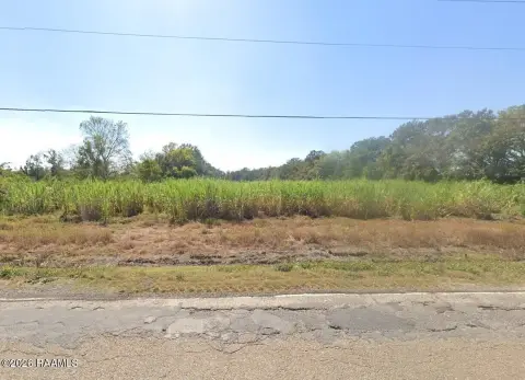 Sugar Cane Planted Industrial Land