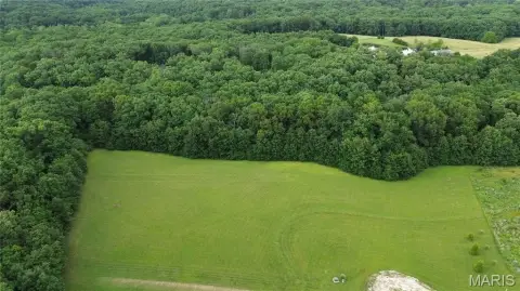 Partially Cleared Agricultural Land Tract