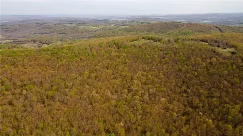 Hardwood Hunting Land