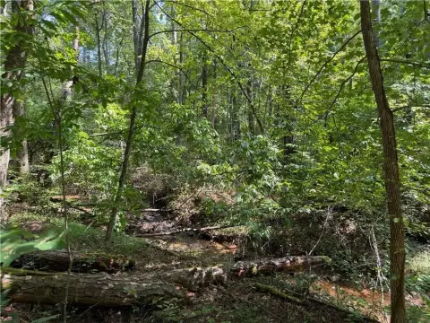 Wooded Two-Tract Land
