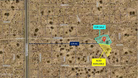 Undeveloped Land Parcel