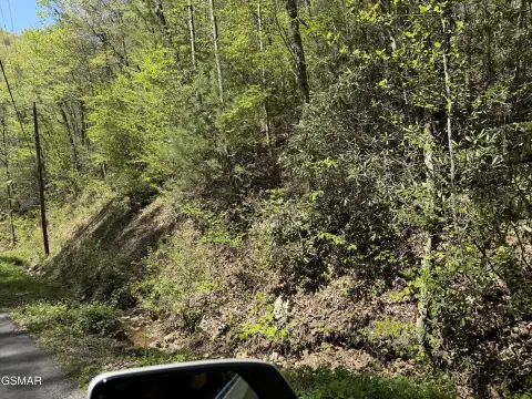Buildable Lot in Sevierville, TN
