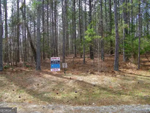 Corp Front Lot in Elberton