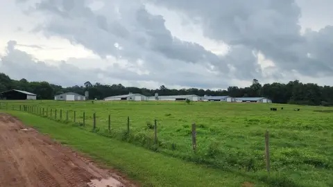 Broiler Farm in Central Heights