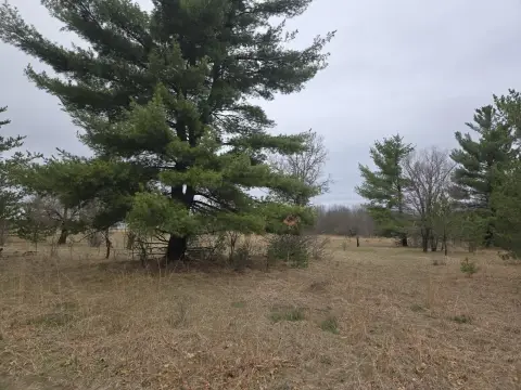 Hancock, WI Rural Land