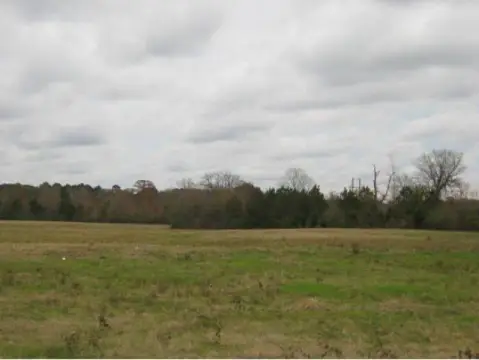 Nacogdoches Land Ready to Build
