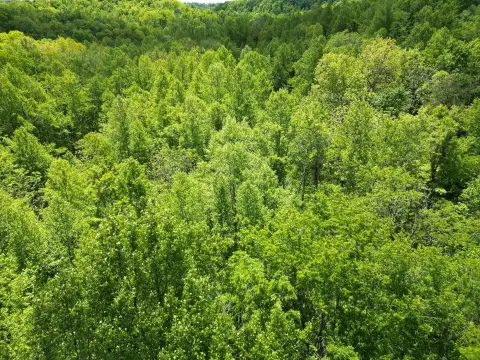 Unrestricted Land in McKee, KY