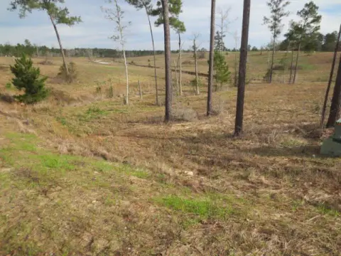 Ellisville Acreage in Established Subdivision