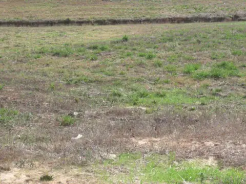 Ellisville Land For Sale