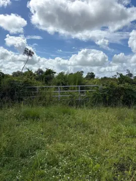 Okeechobee Land For Sale