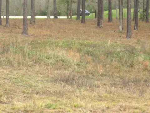 Residential Lot in Exclusive Subdivision