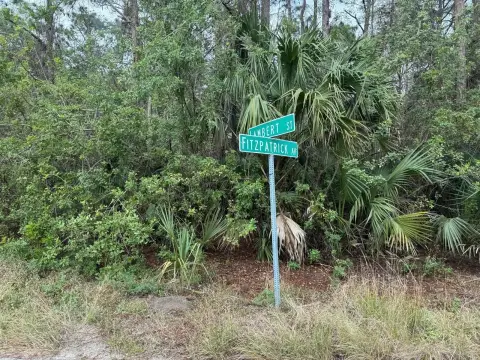Residential Land in Palm Bay