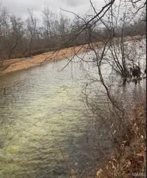 Ozark Land with Spring-Fed Creek