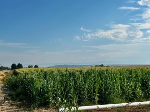 Irrigated Farmland Property