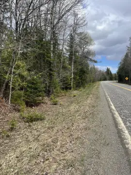Rural Land with Road Frontage