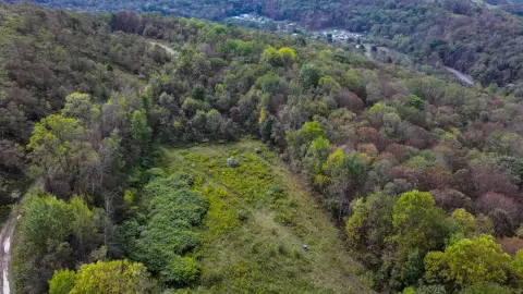 Wooded Hunting Land