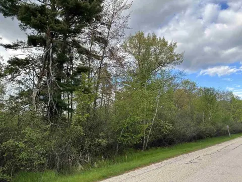 Wooded Residential Land