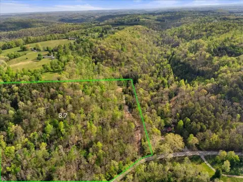 Unrestricted Land Near National Forest