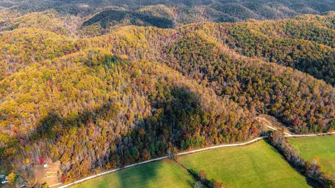 55 Acres of Kentucky Land