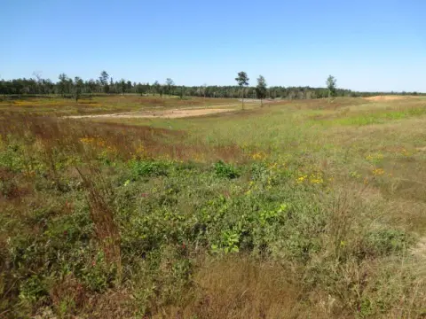 Ellisville Land For Sale