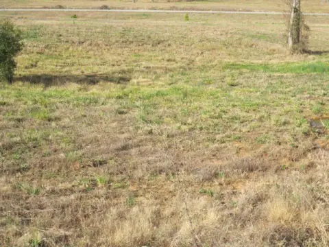 Ellisville Land Available For Sale