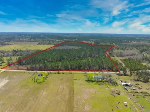 74 Acres in Hahira, GA