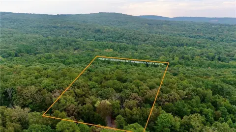 Wooded Rural Land Tract