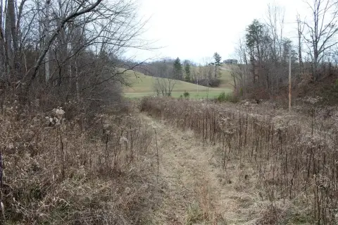 Kentucky Land with Hunting Potential