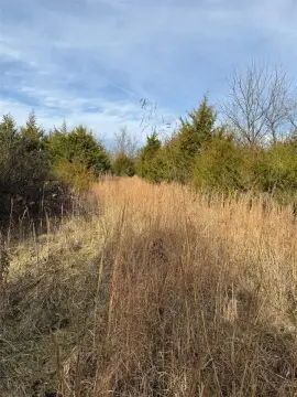 27 Acres in Dry Ridge, KY