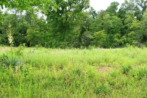 Residential Land in Scottsville, KY