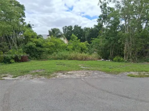 Residential Lot in Lehigh Acres