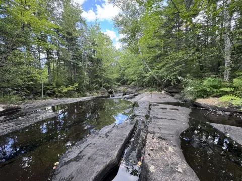 Waterfront Recreational Land