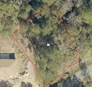 Ocala Land Backing Conservation Area