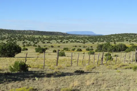 Ranch with Home and Livestock Improvements