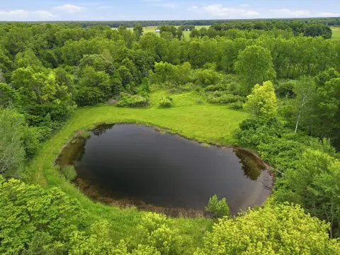 Recreational Hunting Land with Cabin