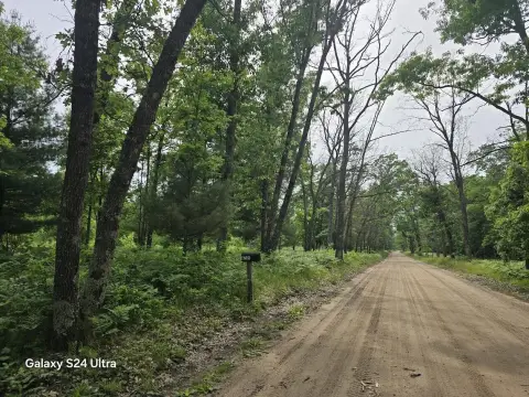 Buildable Wooded Hunting Land