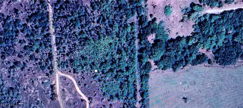 Fort Myers Acreage for Sale