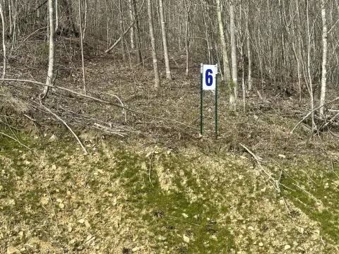 East Bernstadt Land Near Wood Creek