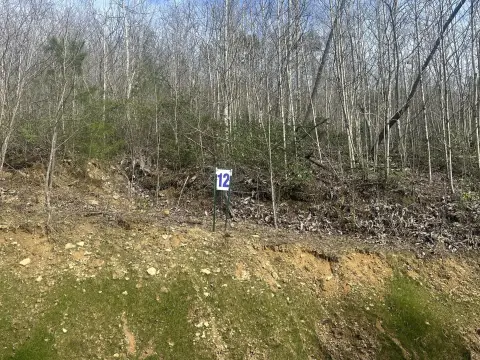 Lake View Residential Land